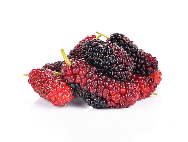 istock mulberry isolated on white background 491057138