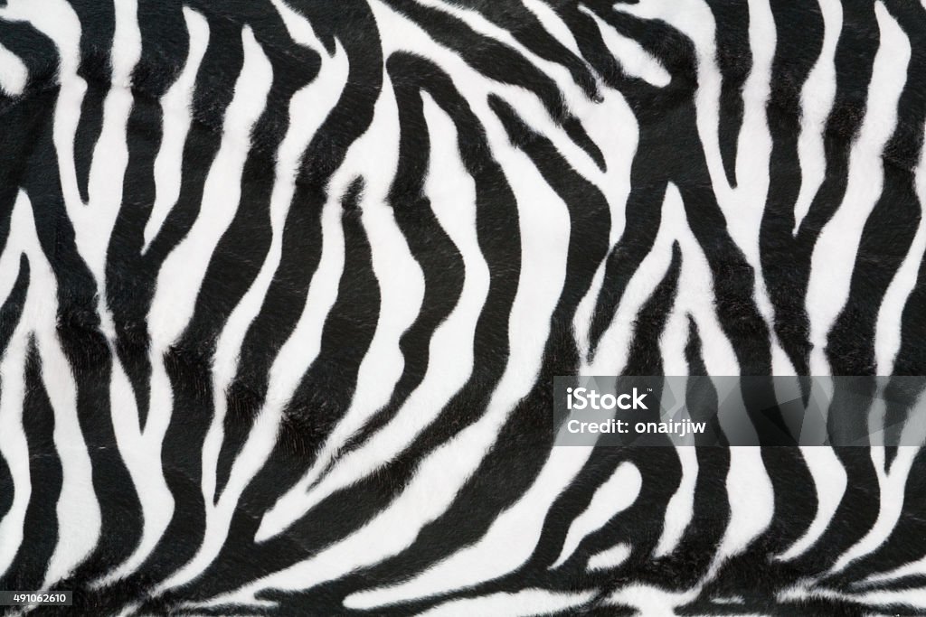 Zebra texture background Zebra texture with beige white and black Zebra Print Stock Photo