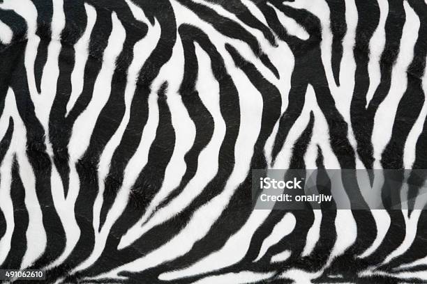 Zebra Texture Background Stock Photo - Download Image Now - Zebra Print, Zebra, Textured Effect