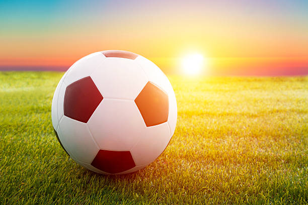 istock soccer ball on the field with sunset 491064751