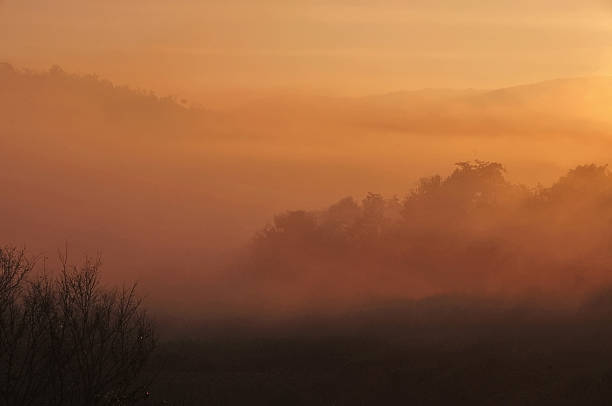 istock Tak the thin line of smoke. 491066749