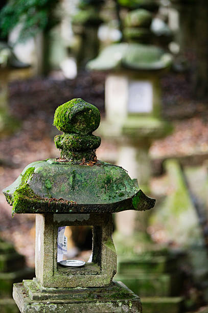 istock Japanese Garden 491066981