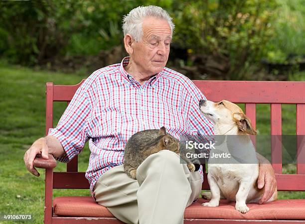 Senior Man With Pets Stock Photo - Download Image Now - Domestic Cat, Dog, Talking