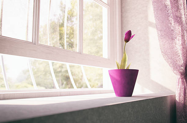 flowers on the sill decorative decorations for the interior