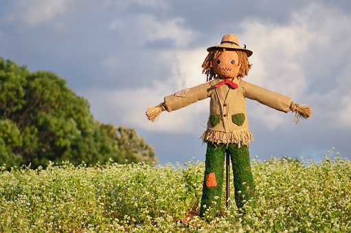 Scarecrow strawman made to guard the fields