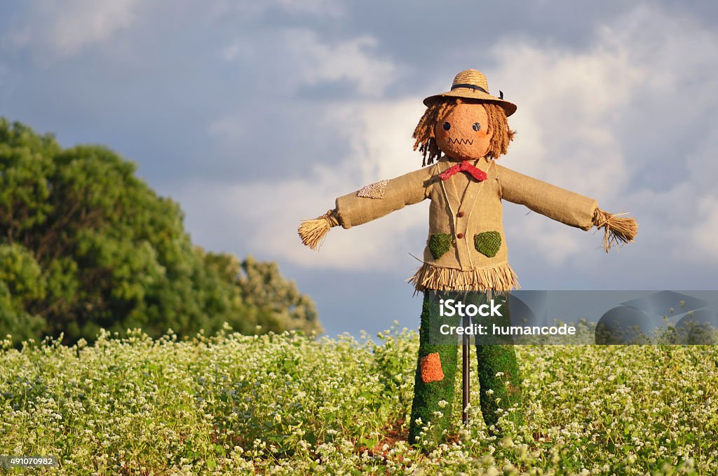 Strawman in farm Scarecrow strawman made to guard the fields Scarecrow - Agricultural Equipment Stock Photo