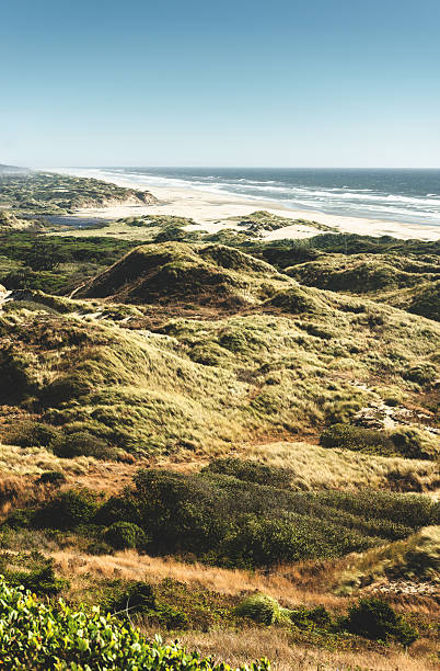 istock Oregon Florence Beach coastline 491071722