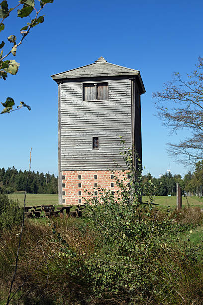 istock Limes watchtower at Vielbrunn 491071742