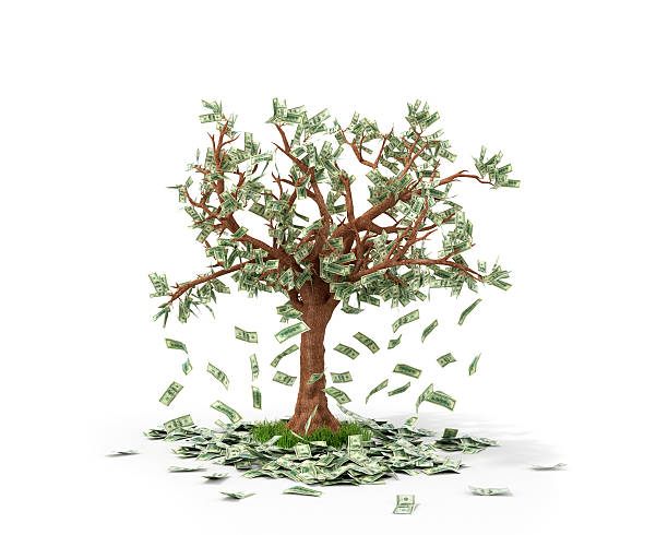 istock Money tree with bills growing on it and lying 491071906