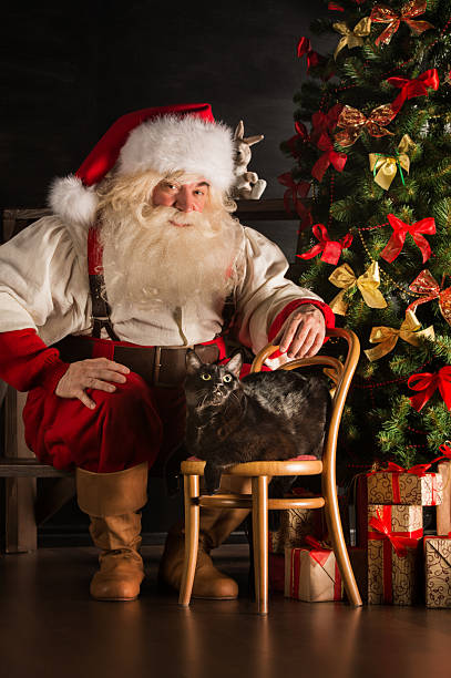 istock Santa Claus with his cat at home 491072280