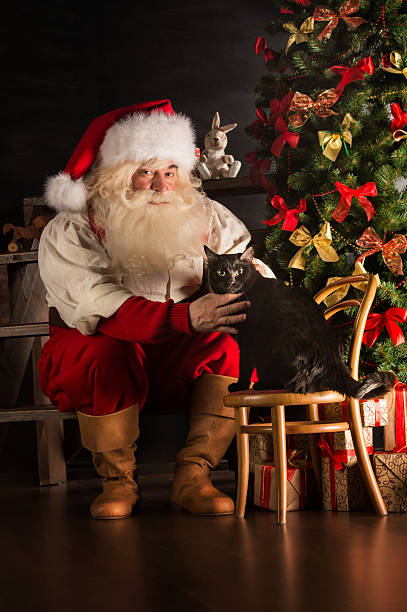 istock Santa Claus with his cat at home 491072364