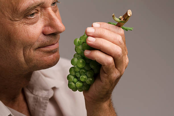 istock Old man holding a green grape in his hand 491072910