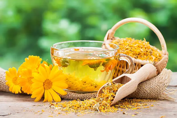 Photo of Cup of  marigold tea and calendula flowers.