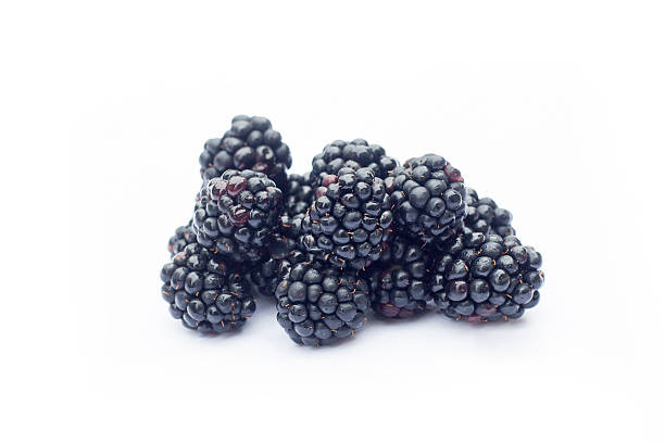 istock Blackberries with leaves isolated on white 491085852