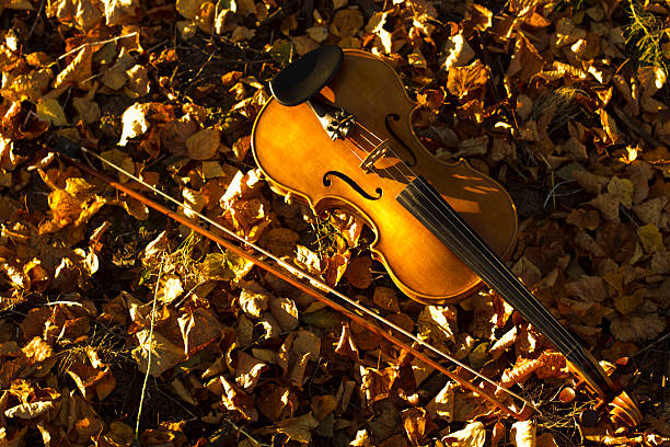 istock Violin lying on the fallen leaves 491087126