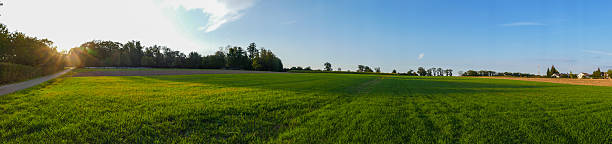 istock Panorama of a landscape 491088050