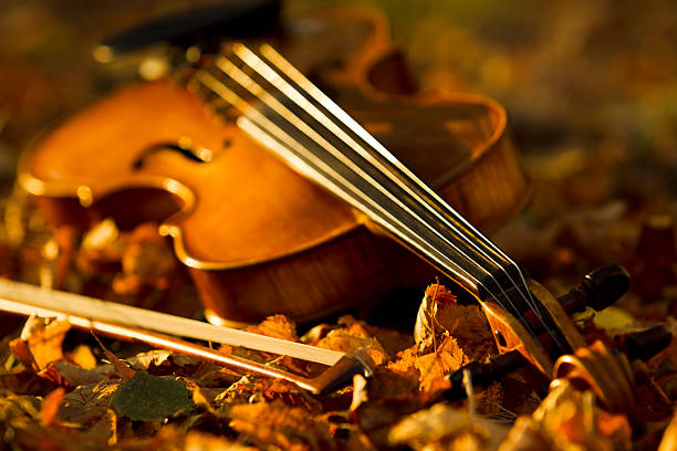 istock Violin lying on the fallen leaves 491088478