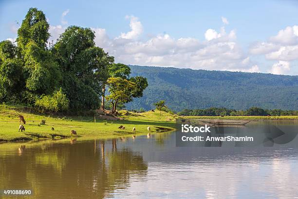 Beautiful Landscape Of Bichanakandi Goainghat Sylhet Bangladesh Stock Photo - Download Image Now