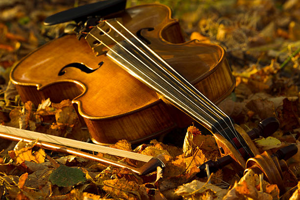 istock Violin lying on the fallen leaves 491089304