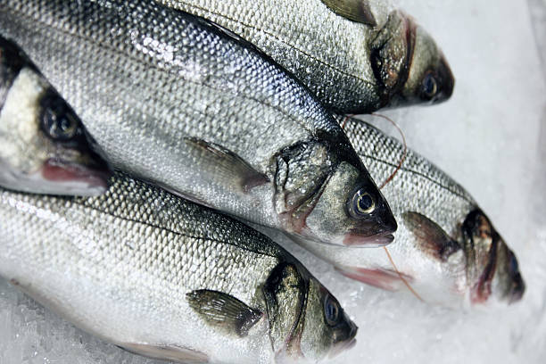 istock Sea fish at the market, on ice 491089690