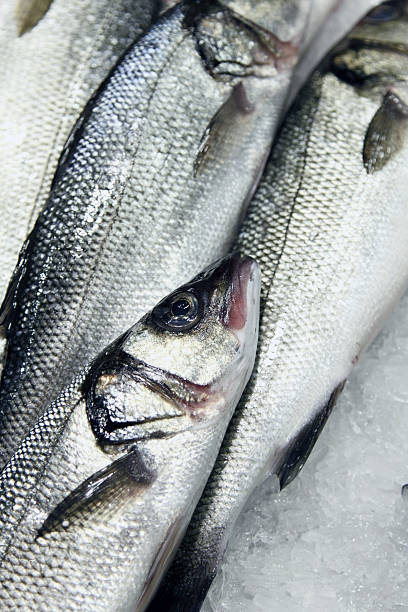 istock Sea fish at the market, on ice 491089800