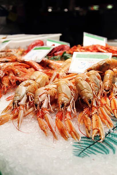 istock Shrimp at fish market, on ice 491090620