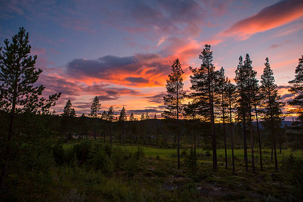 nesbyen - golf golf course sunrise morning stock-fotos und bilder