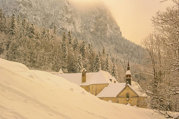 istock Winter Landscape with Snow and Trees 491097922