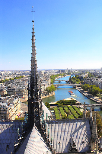 View from the heights of famous Cathedral Notre Dame on Paris and river Seine, France