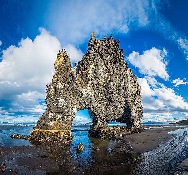 Basalt sea stack on black beach iconic landmark Hvitserkur Iceland