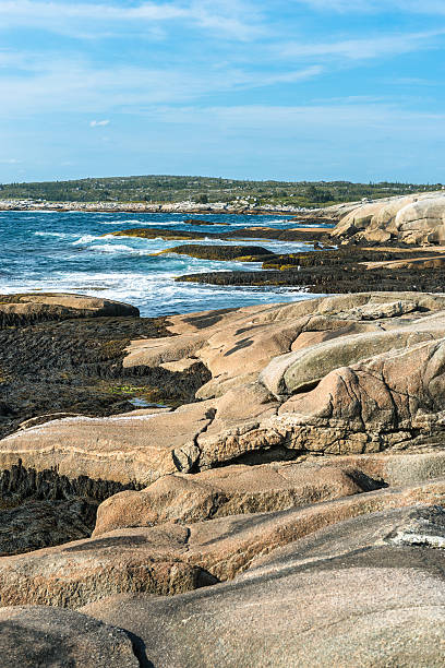istock Peggy's Cove landscape in Nova Scotia 491099174