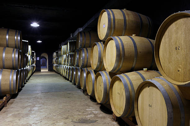 istock Vineyard and wooden barrels 491099356