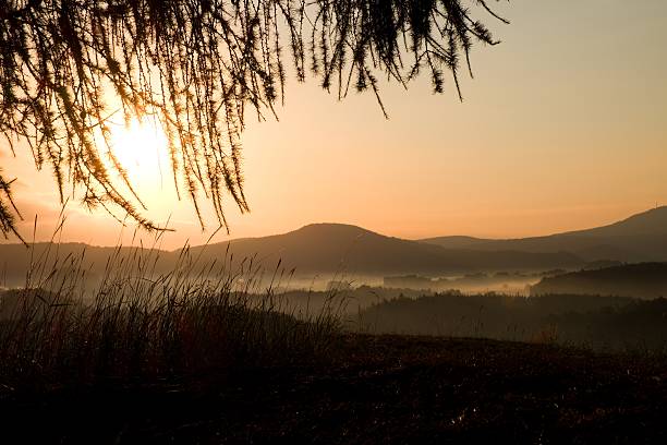 istock Sunrise Landscape.Early Morning Meadow. 491099526