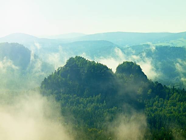 View into deep misty valley in Saxony Switzerland. Sandstone peaks increased from mist, the fog is orange due to sunrise.