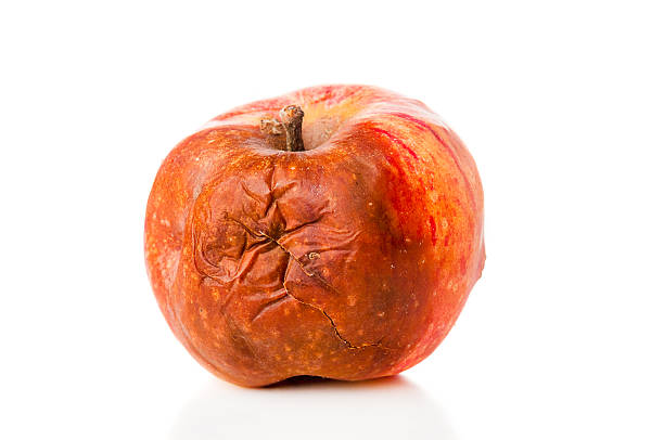 Rotten apple closeup on white background Rotten apple closeup on white background rotting apple fruit wrinkled stock pictures, royalty-free photos & images