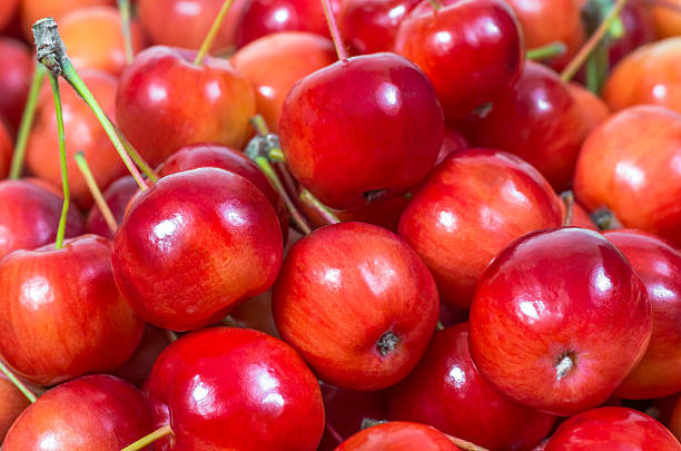 istock Very beautiful red paradise apples 491104710