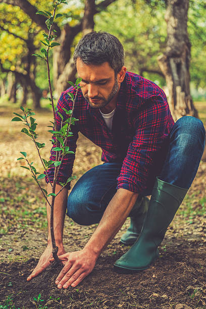 istock Planting new life. 491118418