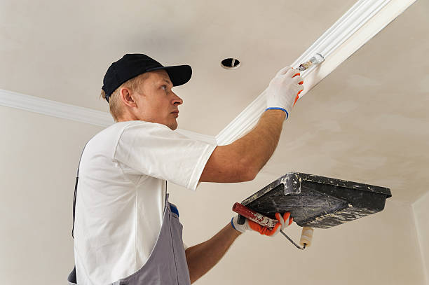 istock Painting walls and ceilings 491119154