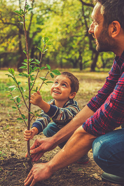 дает новую жизнь. - growth new life seedling child стоковые фото и изображения