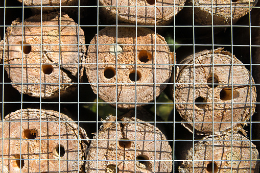 Homemade insects hotel house close-up in garden with logs