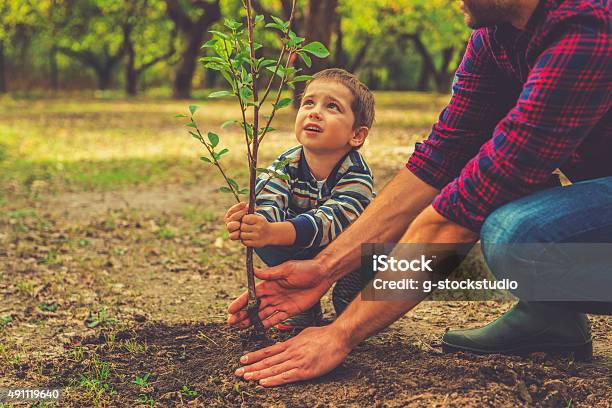 Foto de Quando Ela Crescer e mais fotos de stock de Criança - Criança, Árvore, Natureza