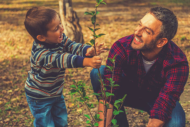 istock Planting a family tree. 491119790