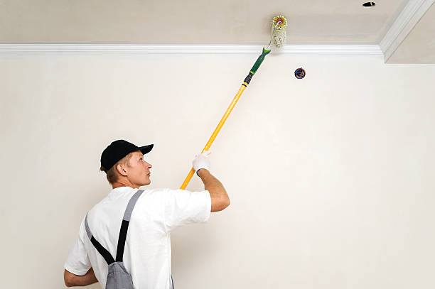 istock Painting walls and ceilings 491120270