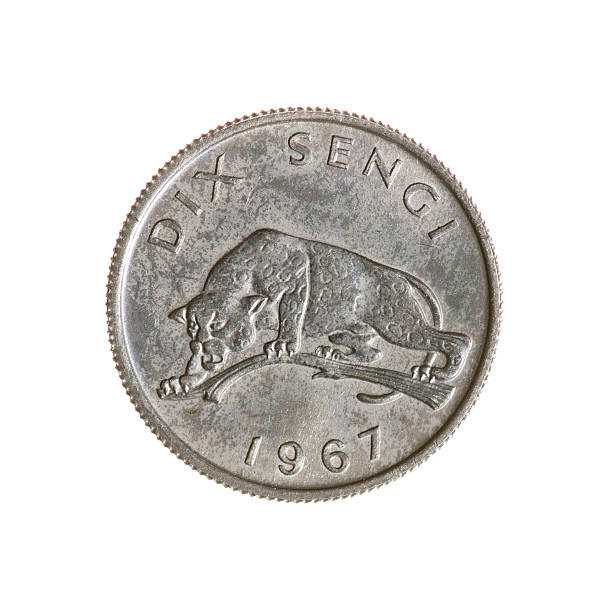 istock Ten Seng Congo coin isolated on white background. top view. 491121424