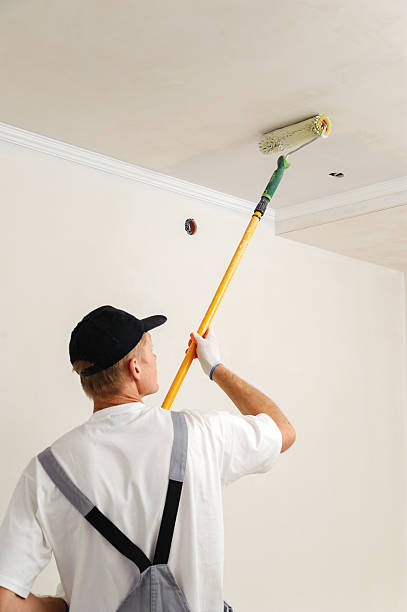 istock Painting walls and ceilings 491121634