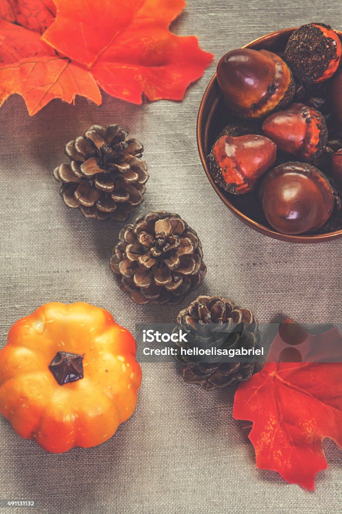 Autumn inspiration Autumn on the table with leaves, pine cones, acorns and pumpkins 2015 Stock Photo