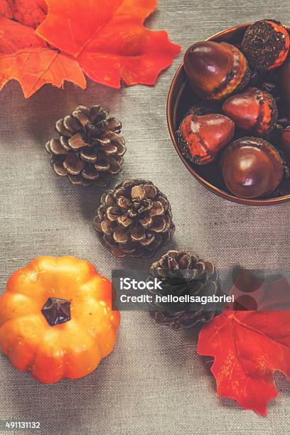 Autumn Inspiration Stock Photo - Download Image Now - 2015, Acorn, Autumn