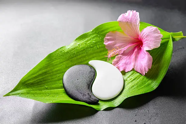 Photo of beautiful spa concept of pink hibiscus flower and Yin-Yang