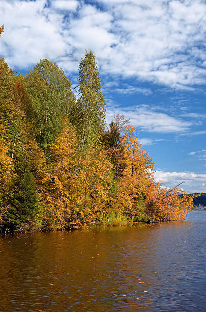 istock Landscape colorful autumn forest lake river sky clouds 491133002