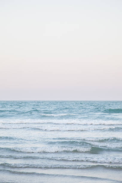 istock Ocean waves lapped up the beach 491133172